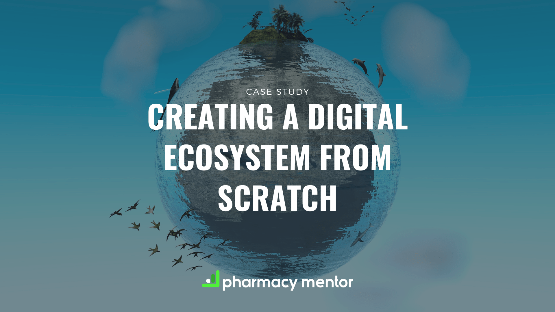 Digital Ecosystem Case Study